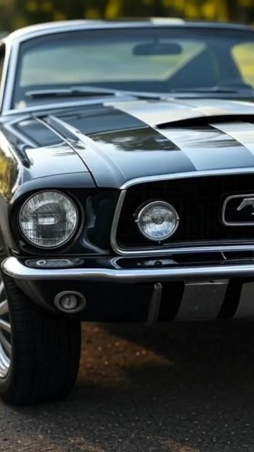 SHELBY GT 500