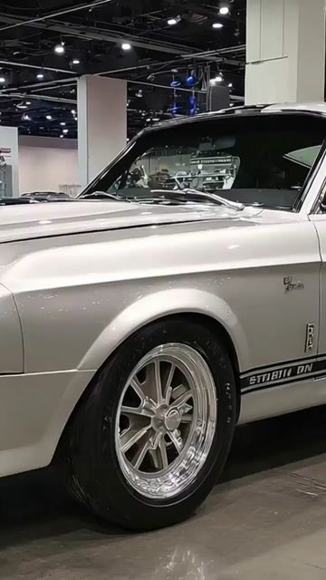 SHELBY KKR