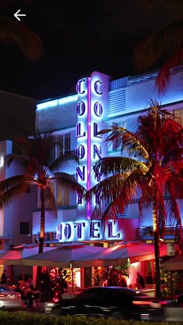 MIAMI BLUES   "SOUTH BEACH"
